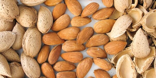 تصویر 1 از خرید و قیمت بادام درختی خام + فروش صادراتی